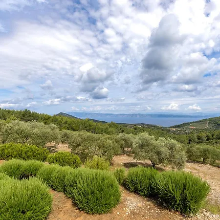Villa House Of Freedom, Hvar *